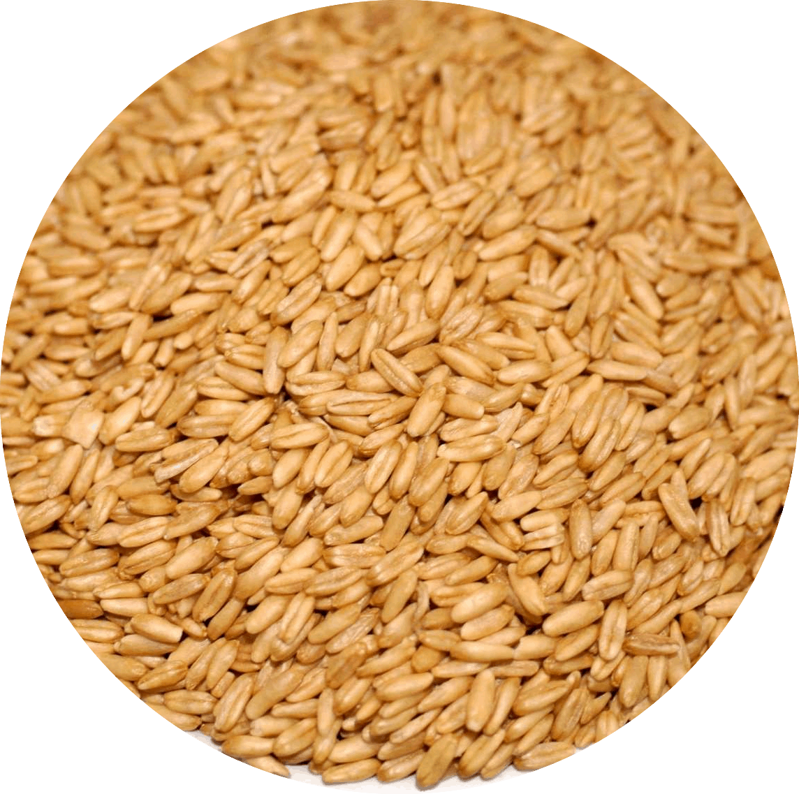 燕麥 1kg