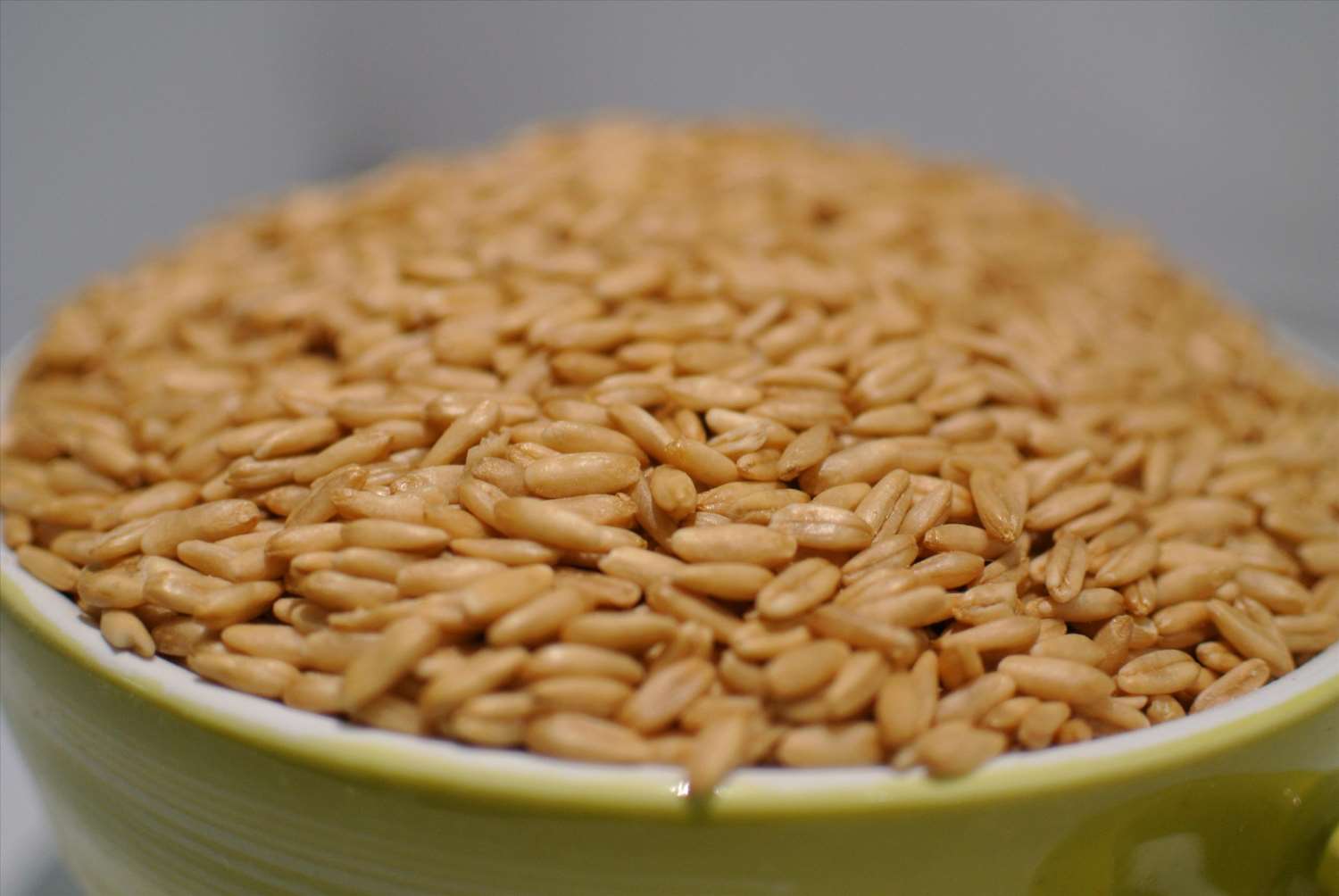燕麥 1kg