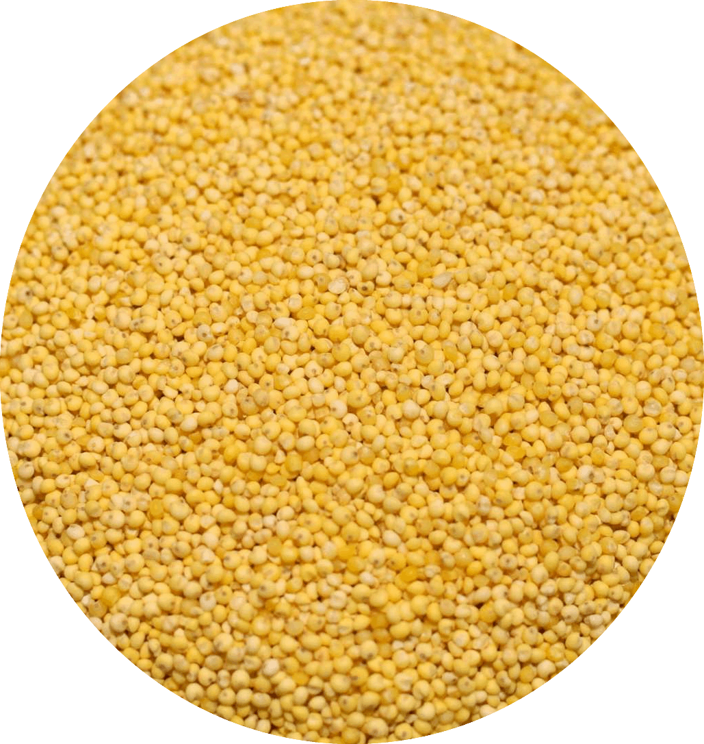 小米 1kg