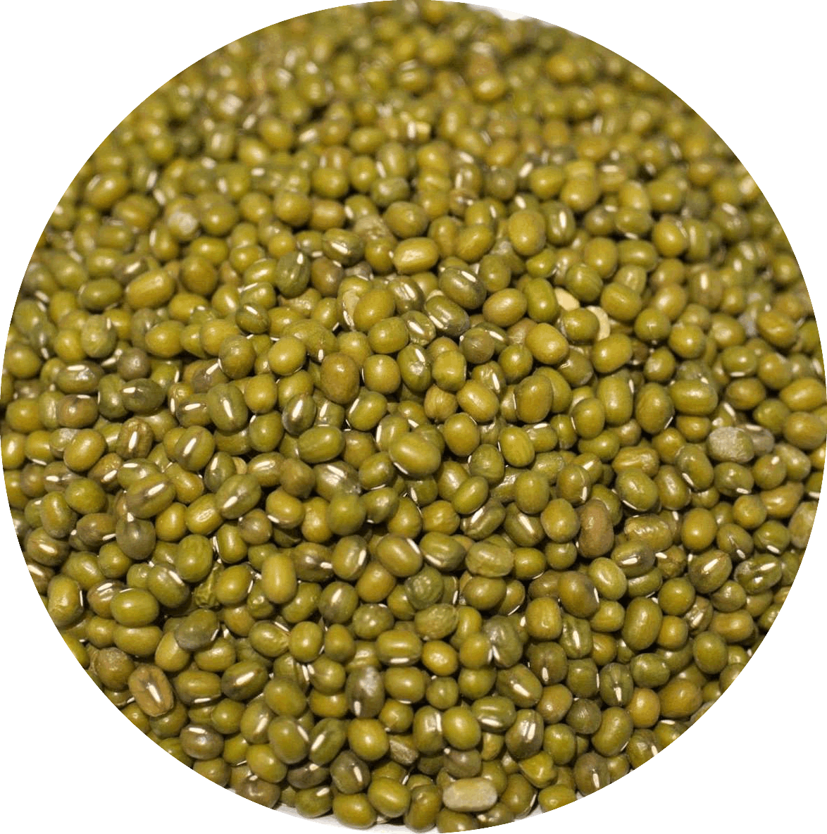 綠豆 1kg