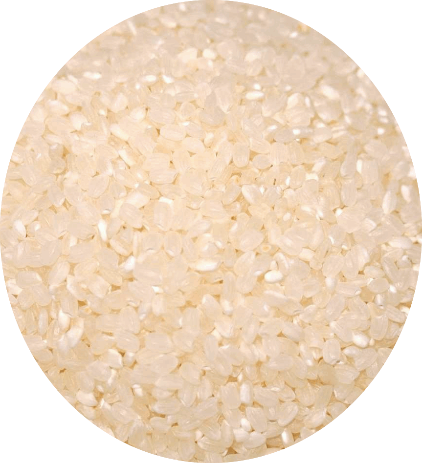 蓬萊米 1kg