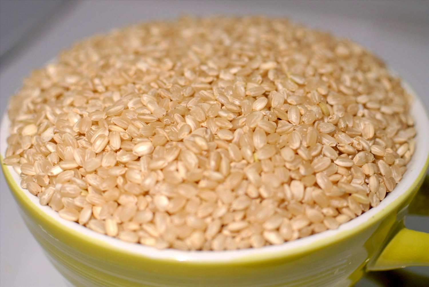 胚芽米 1kg