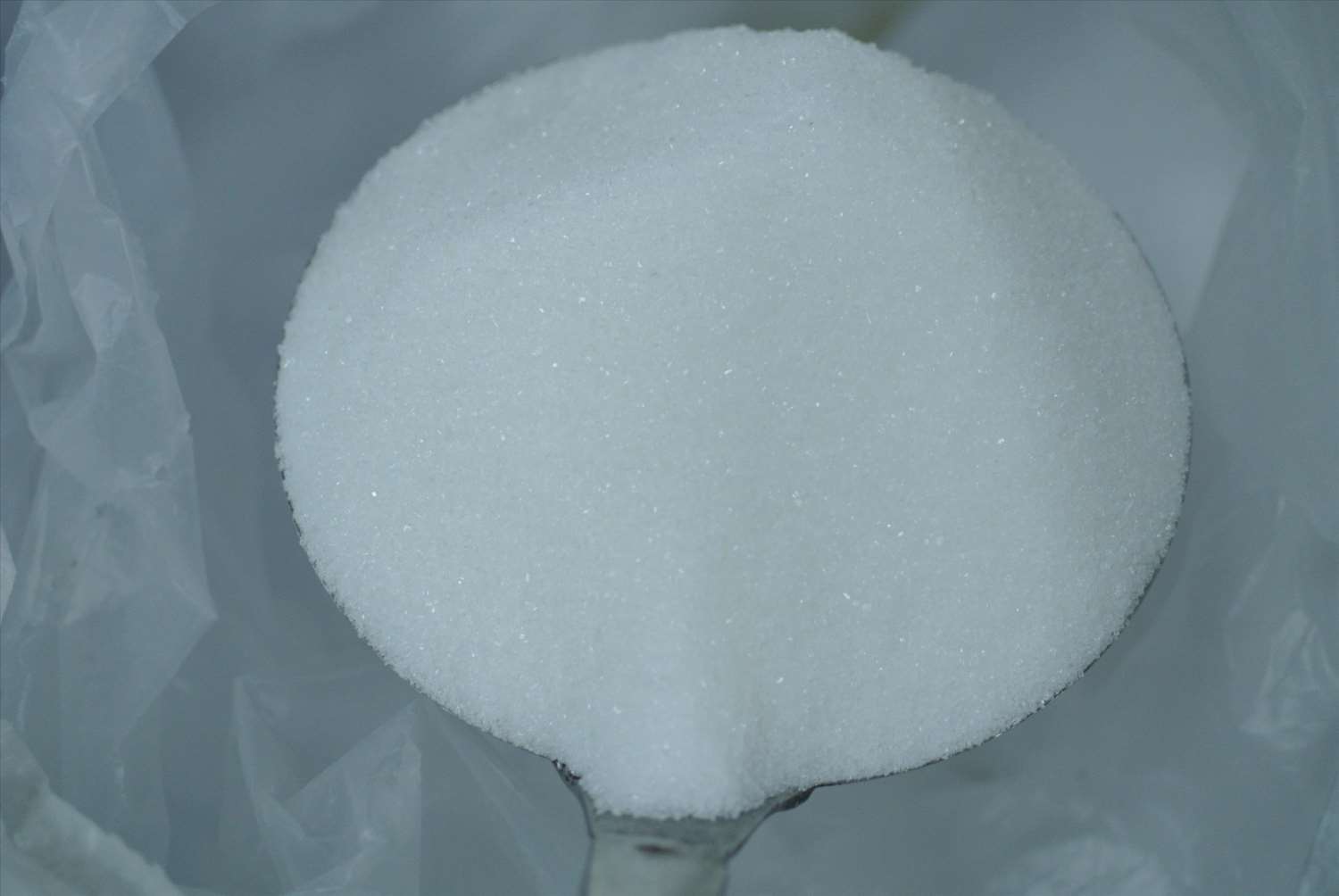 特砂 1kg