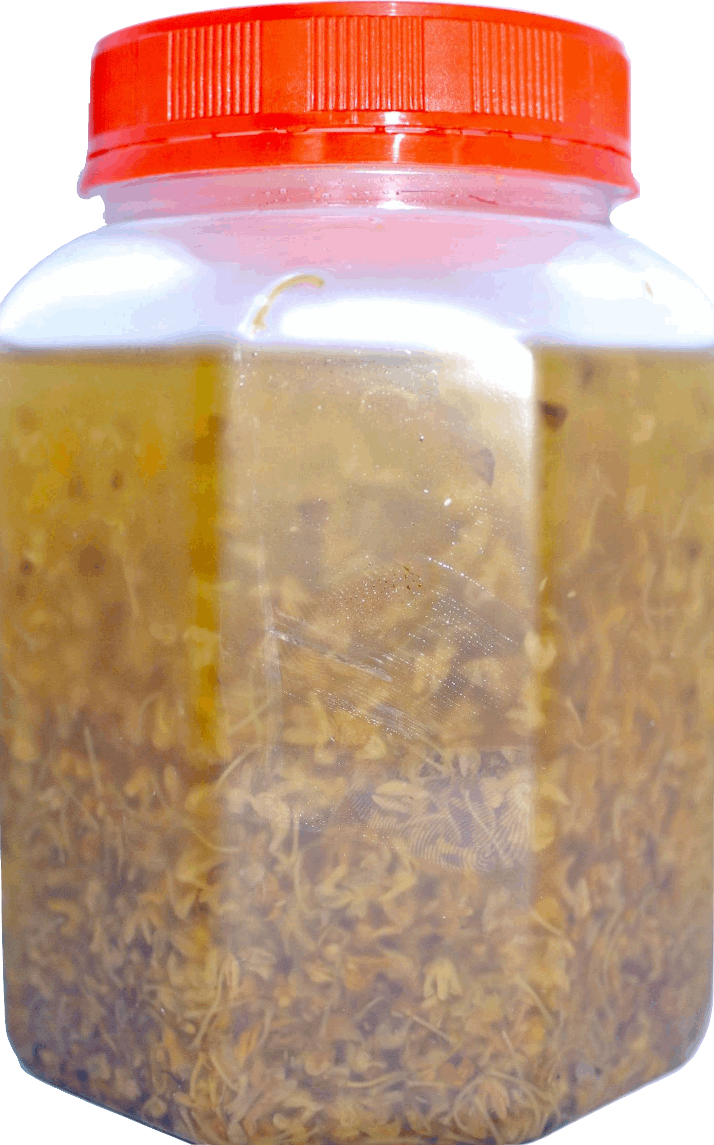 桂花醬 600g