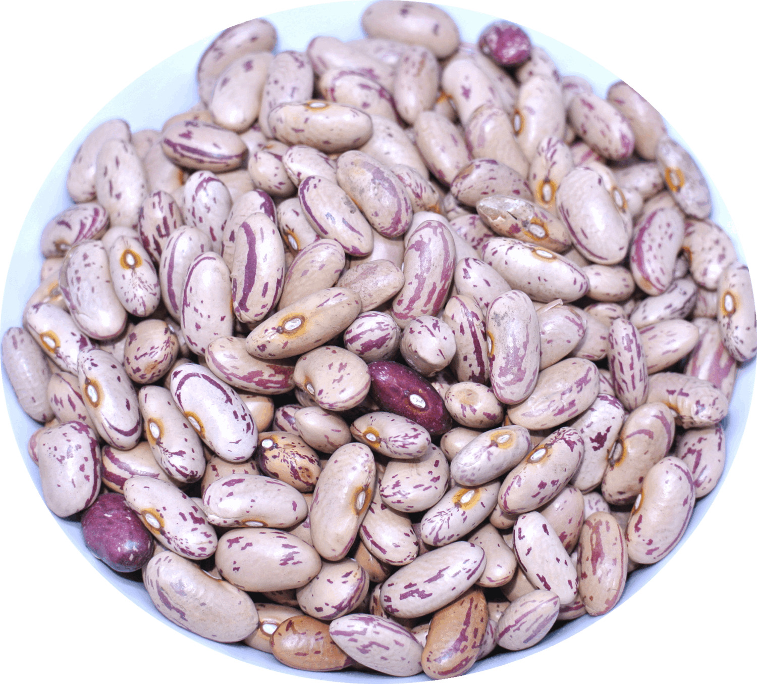 花豆 1kg