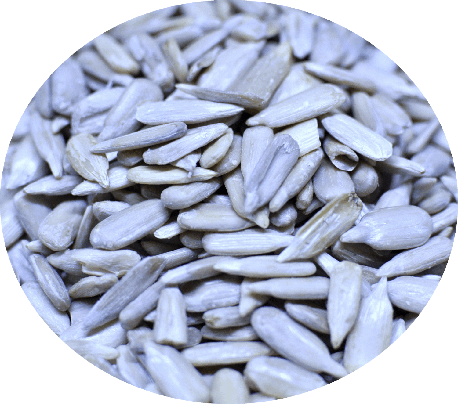 葵瓜子仁 1kg