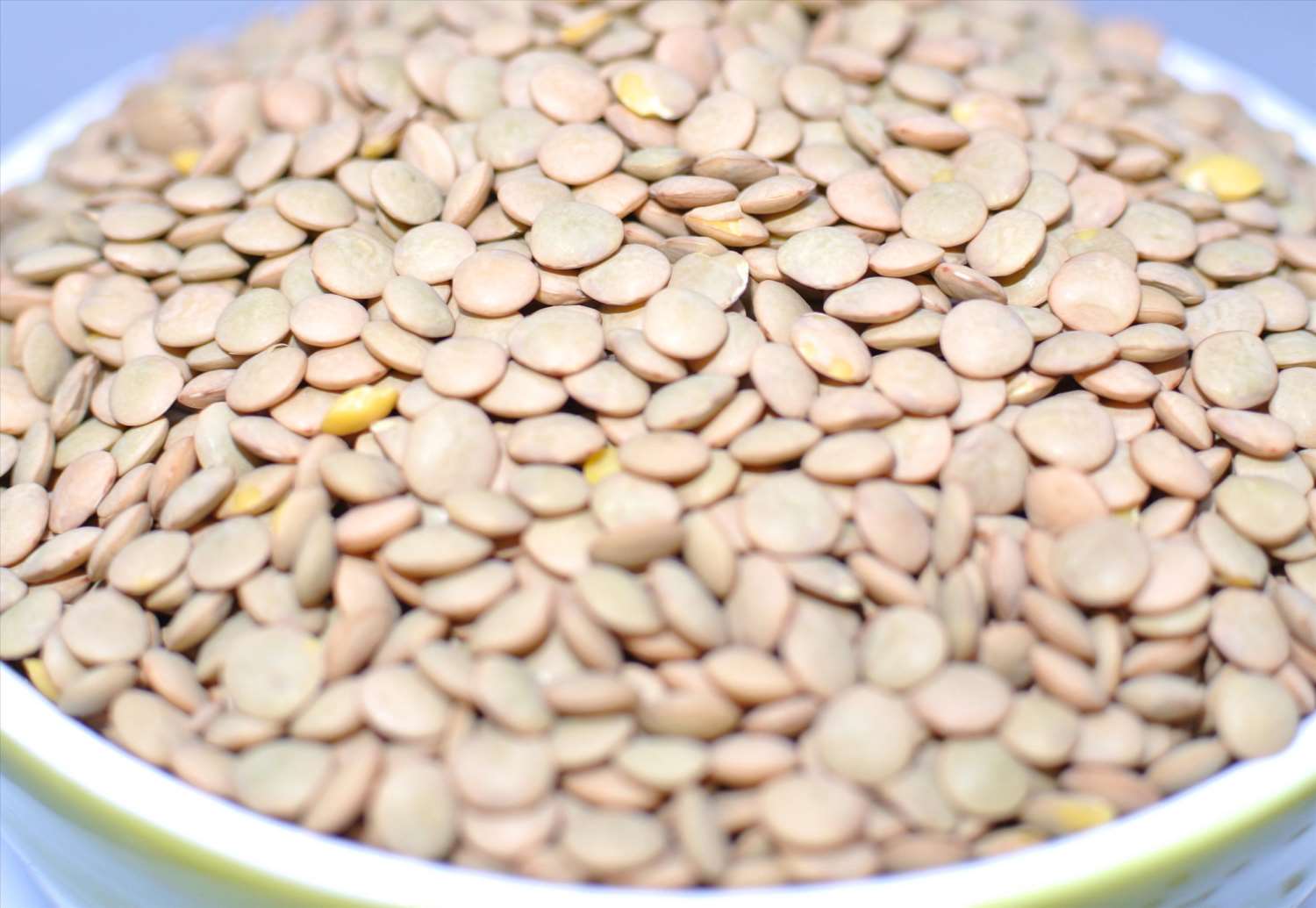 棕扁豆 1kg