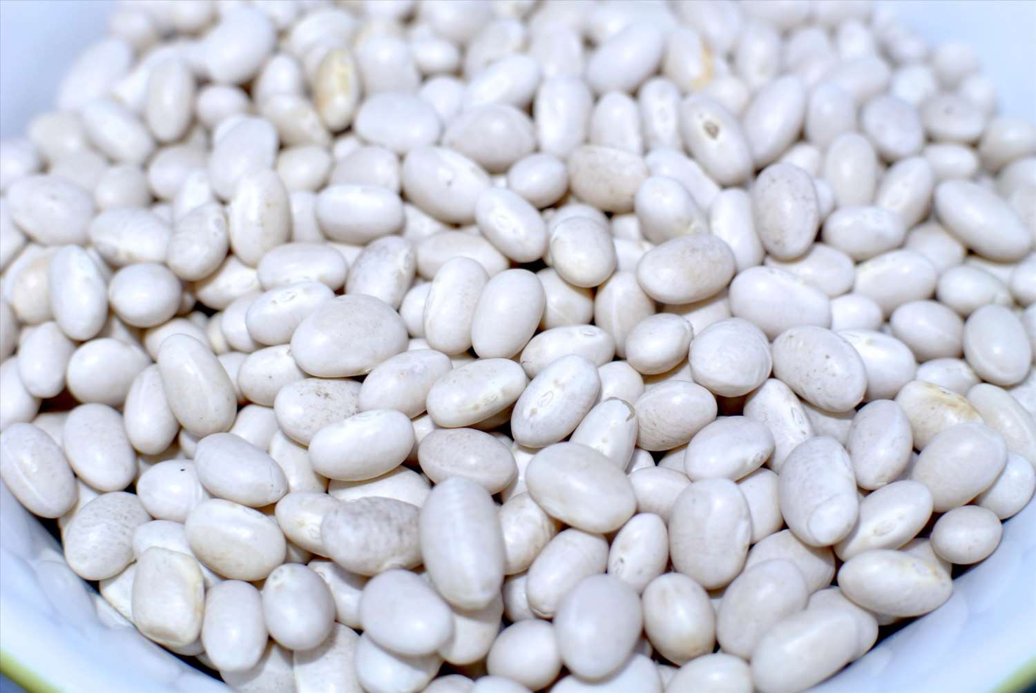 小白豆(海軍豆) 1kg