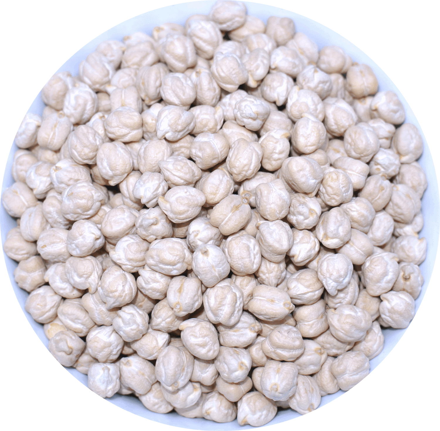 雞豆(鷹嘴豆) 1kg
