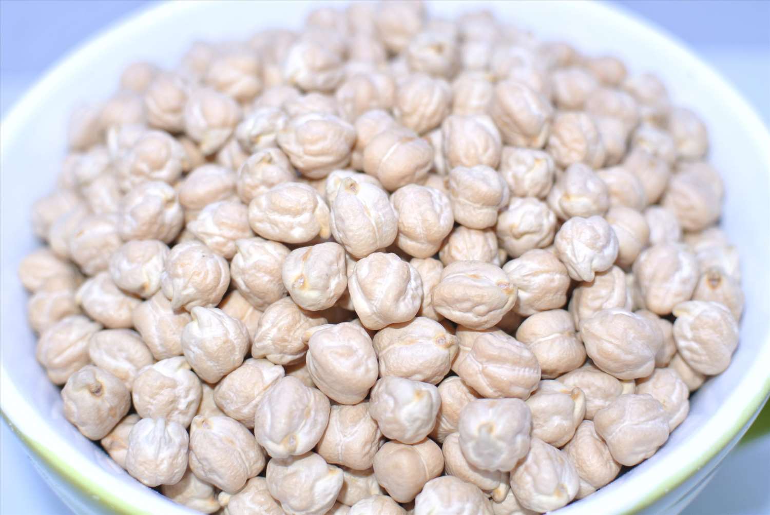 雞豆(鷹嘴豆) 1kg
