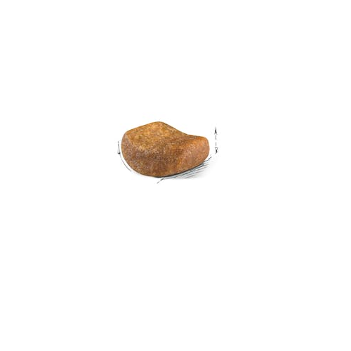 【ROYAL CANIN法國皇家】英國短毛成貓BS34(10kg)