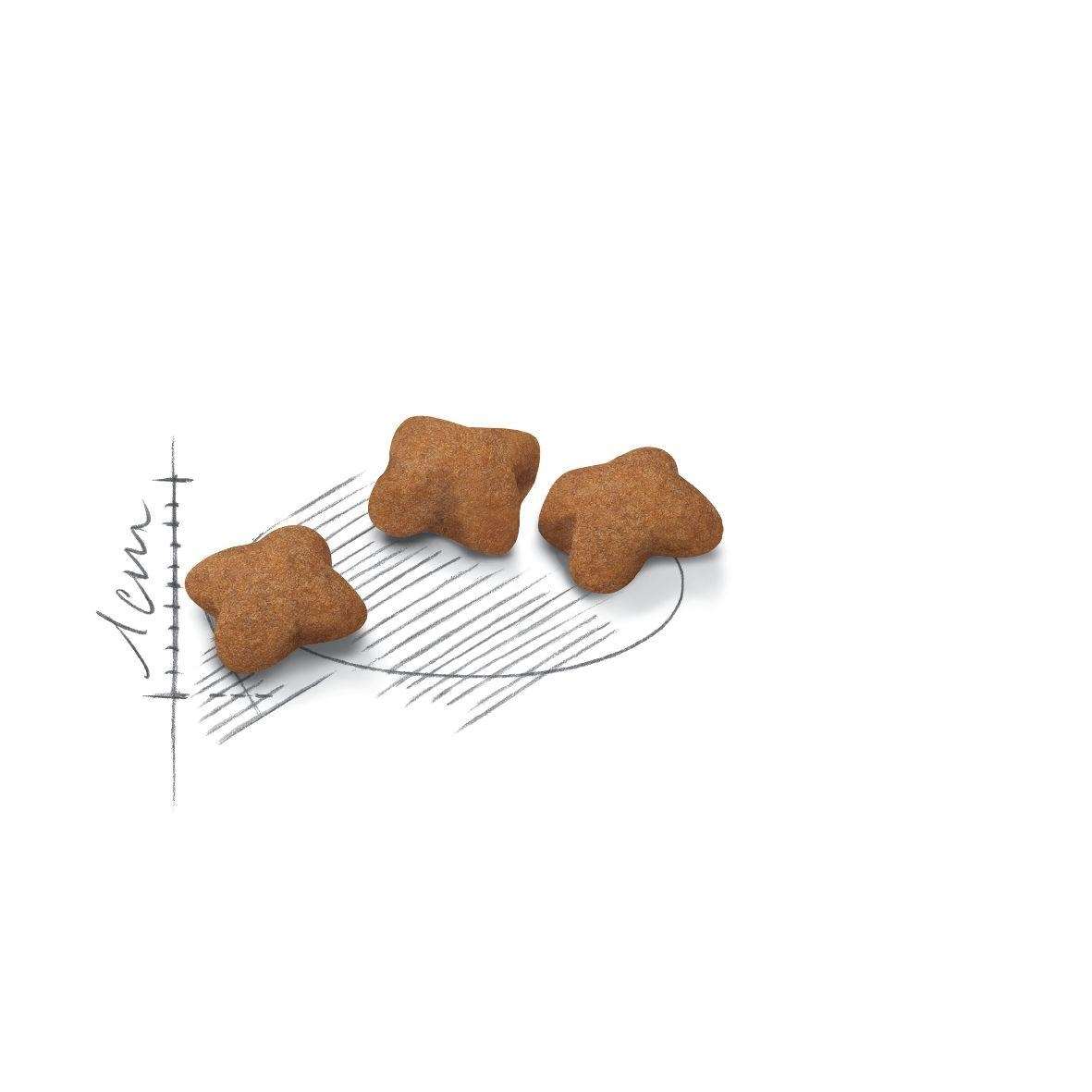 【ROYAL CANIN法國皇家】絕育幼貓S37(2kg)