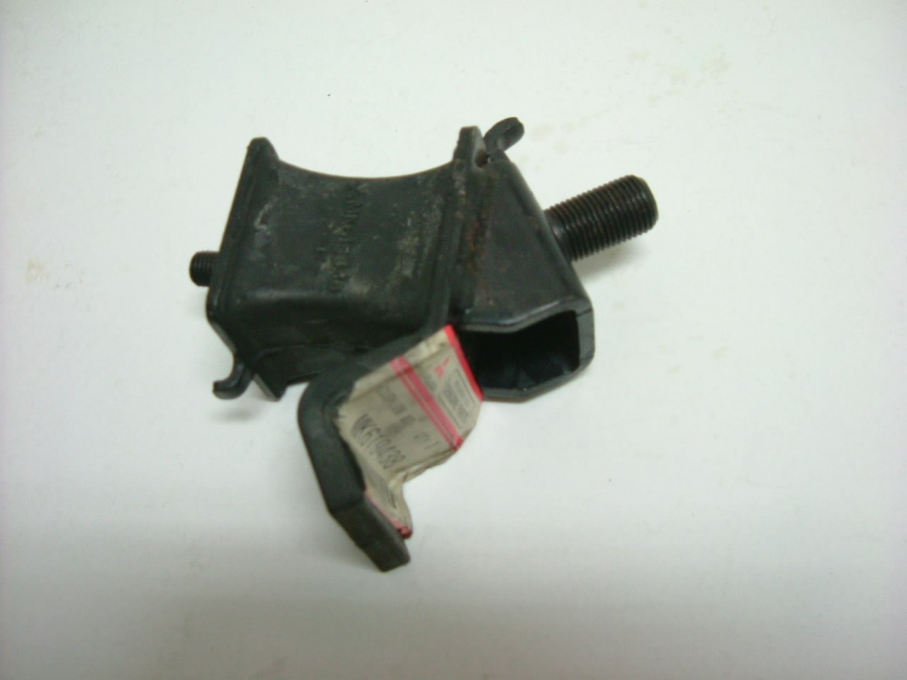 MK619438+