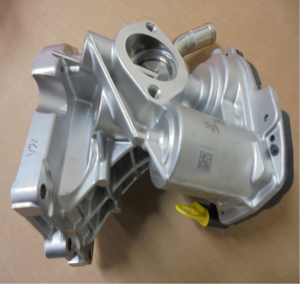 MK667800+