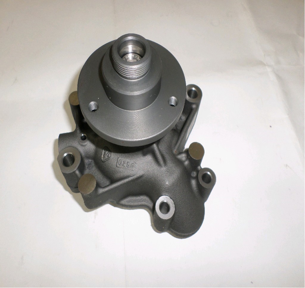 MK667228+