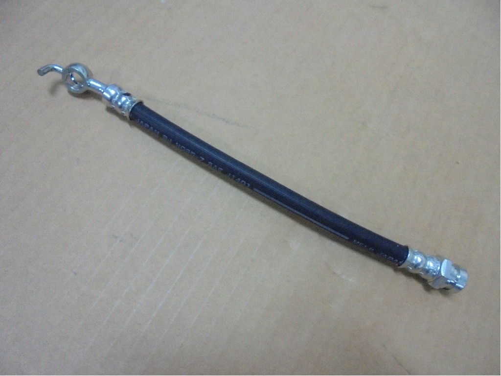 MK530275