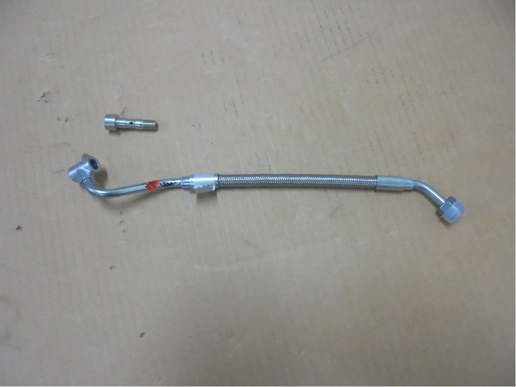 MK667319+