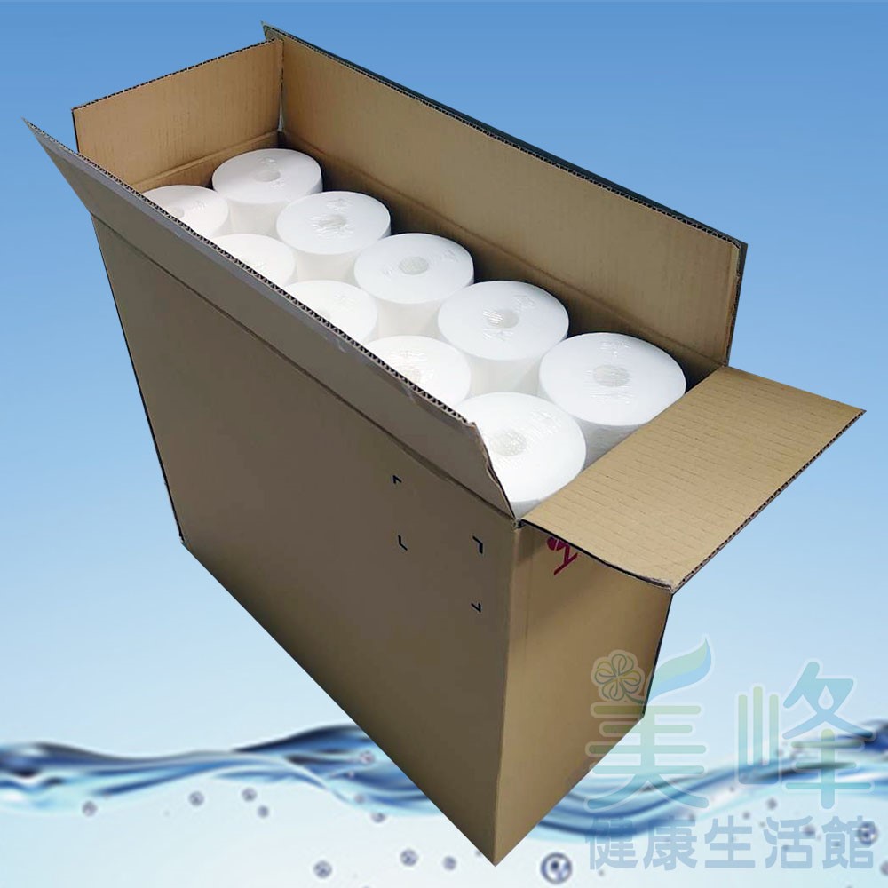 台灣製造20英吋大胖平標棉質PP濾心，水塔大型淨水器濾心，10支裝一箱