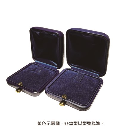 RBI-07B