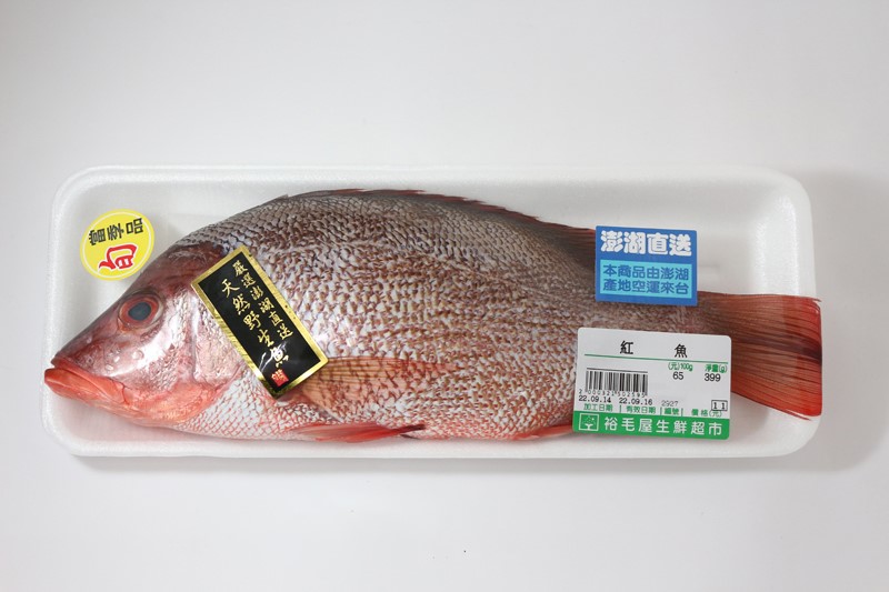 紅魚