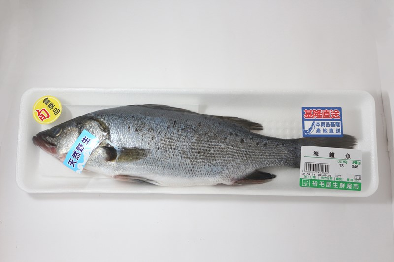 海鱸魚