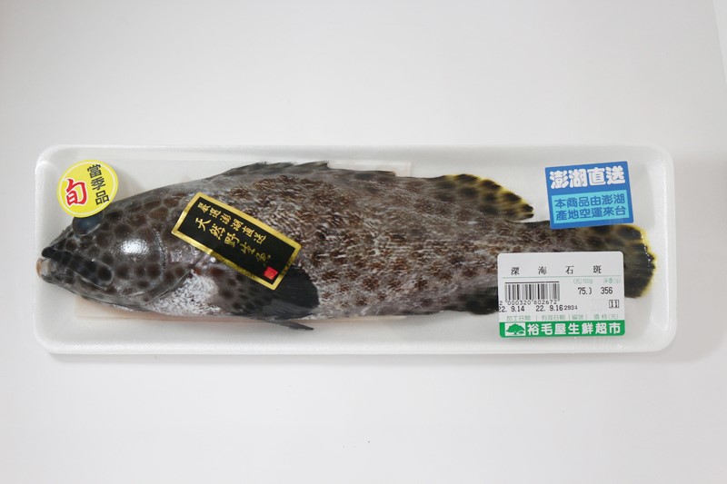 深海石斑
