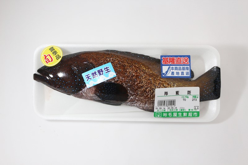 海藍斑(藍星斑)
