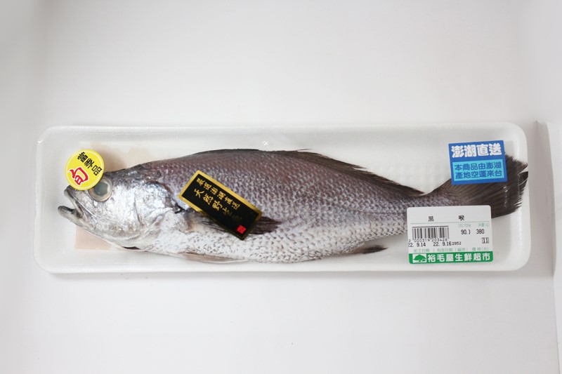 黑喉魚