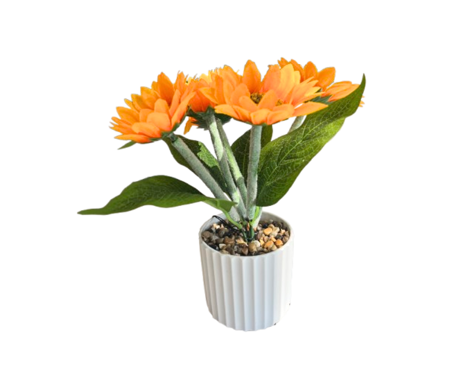 ੭ 各式花器 ੭