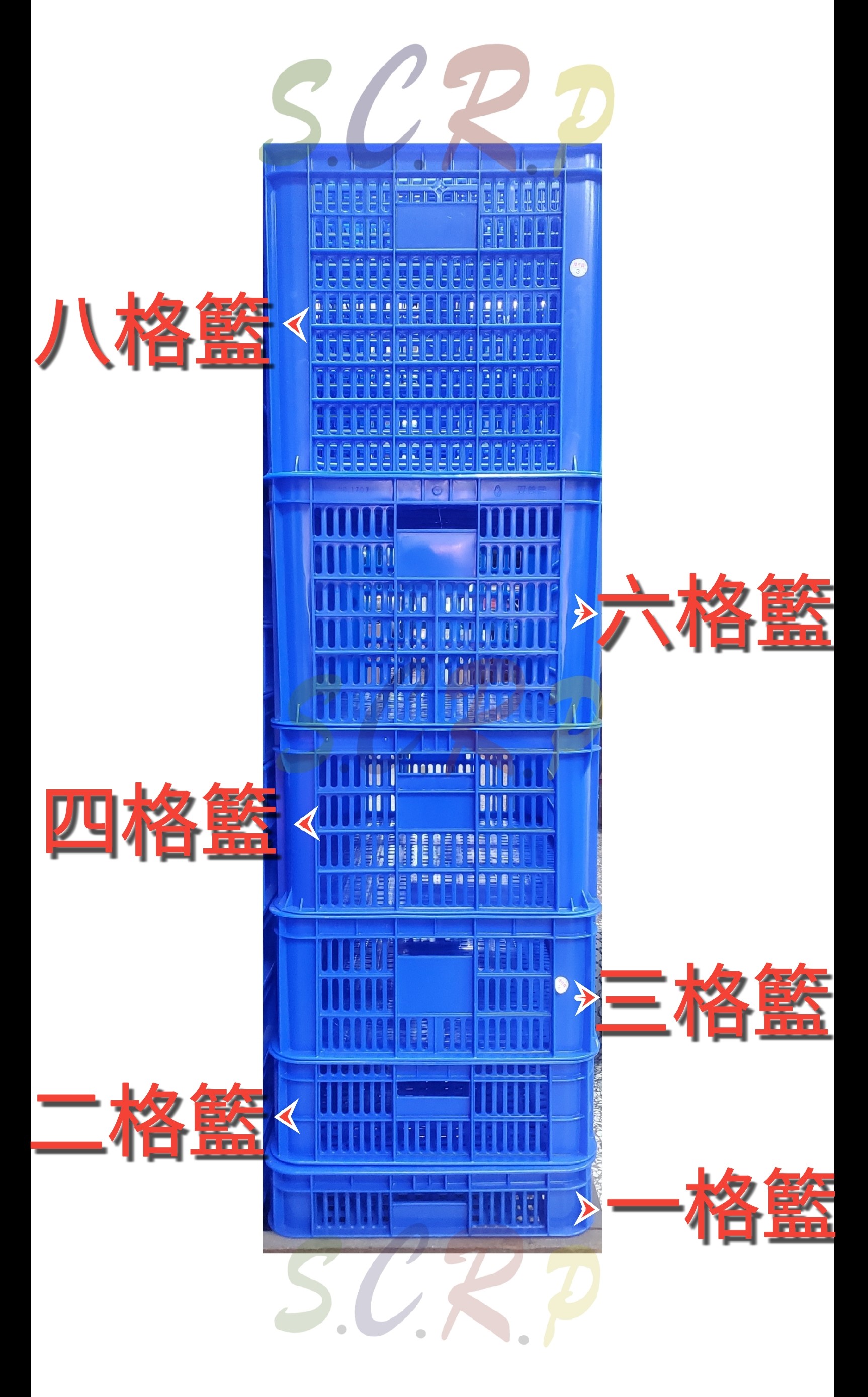 蘆筍籃 一格籃 二格籃 三格藍 四格籃 六格籃 八格籃