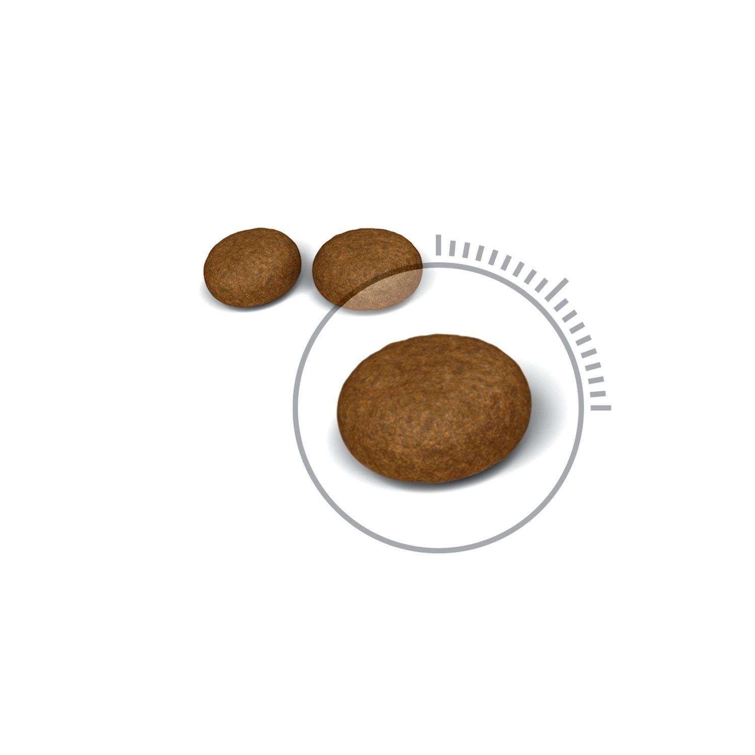 【ROYAL CANIN法國皇家】敏感膚質成貓HS33(4kg)