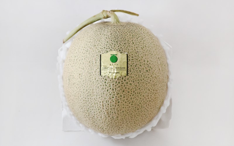 日本山形縣【庄內砂丘哈密瓜 (青肉)】 庄内砂丘メロン