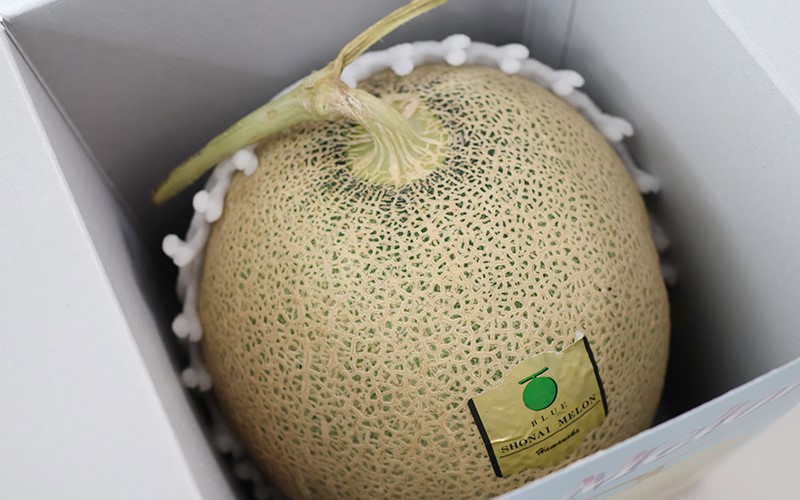 日本山形縣【庄內砂丘哈密瓜 (青肉)】 庄内砂丘メロン