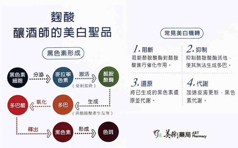 🌤️🌤️【實體藥局/公司貨】雅佛麗露 4% 嫩白霜 10gm 杏輝藥品