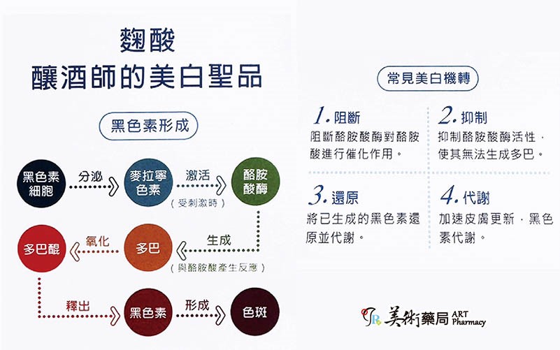 雅佛麗露 4% 嫩白霜 500gm/罐 大罐裝 經濟瓶 杏【贈傳明酸1支】美術藥局｜官方公司貨
