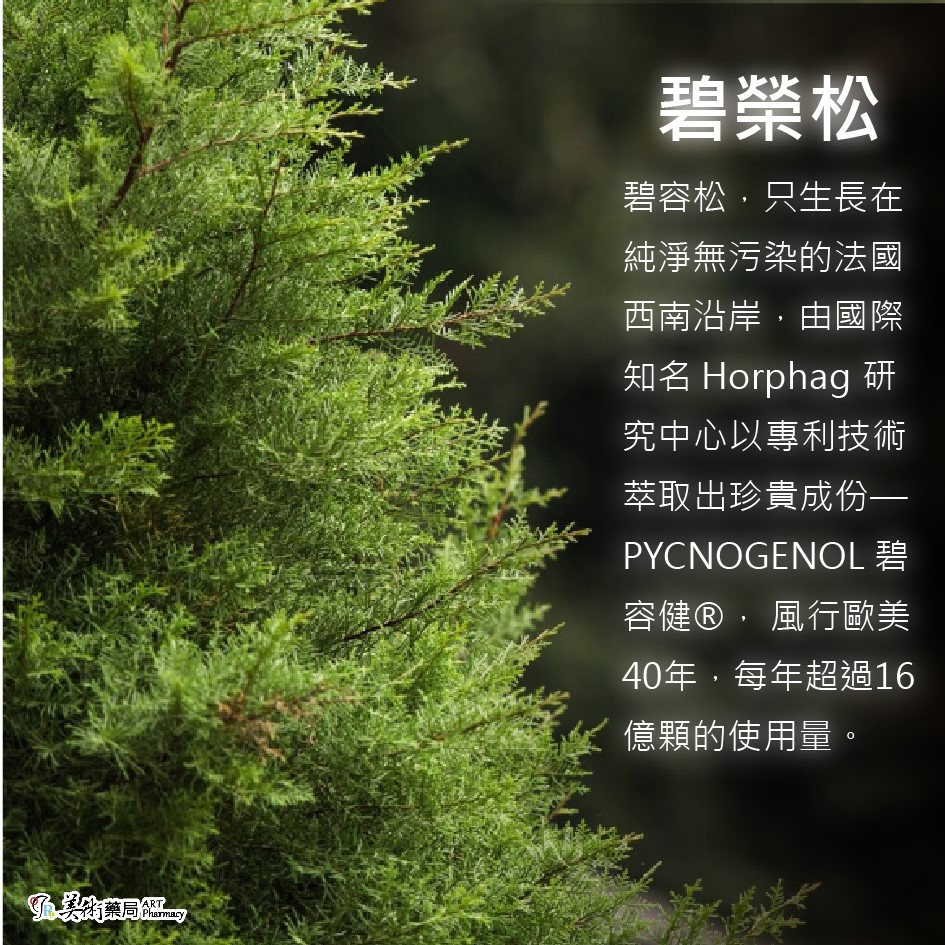 森活一碧容健®100毫克松萃錠 榮獲多項專利 健康維持 奶素可食 / 法森活 松萃明 晶亮潤澤素食膠囊