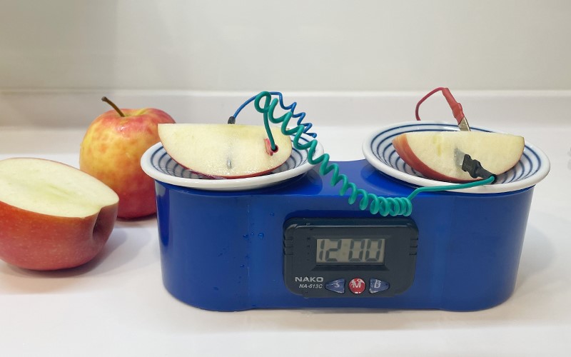 水果電池