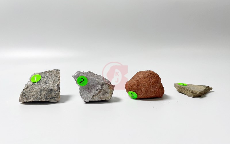 礦物岩石化石標本,Rocks , Minerals & Fossils Collection Geoscience Earth Science 岩石,礦物,化石,花崗岩,安山岩,砂岩,頁岩,板岩,大理岩,紫水晶,滑石,方解石,石膏,龍介蟲(動物),矽化木(植物)