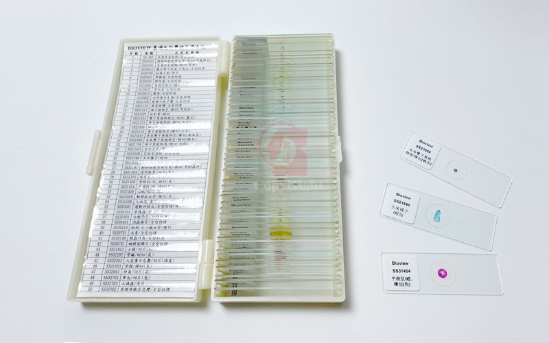 50 Prepared Microscope Slides Specimen Set Plants Insects  Animals Human Tissue Cells Samples 動植物組織學玻片