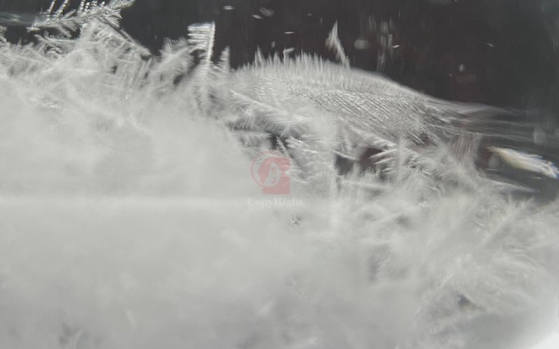 天氣瓶羽毛狀
