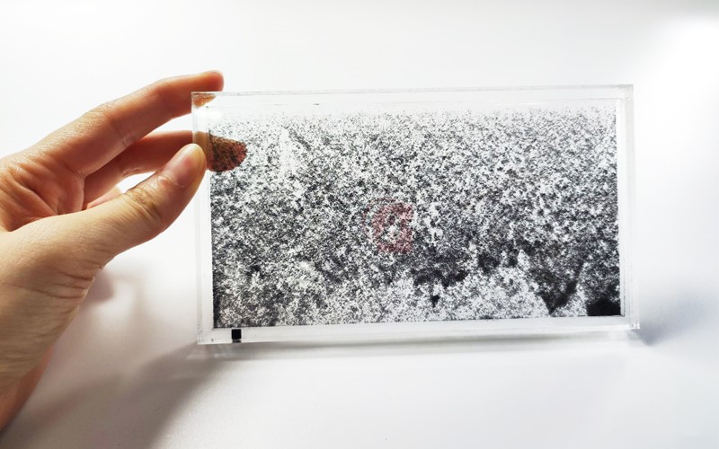 磁力線觀察器(液油式),Magnetic Field Demonstration(oil),透明壓克力製,平面液油式磁力線觀察器,需另購棒型磁鐵及U型磁鐵,A13-092-5,國教儀器