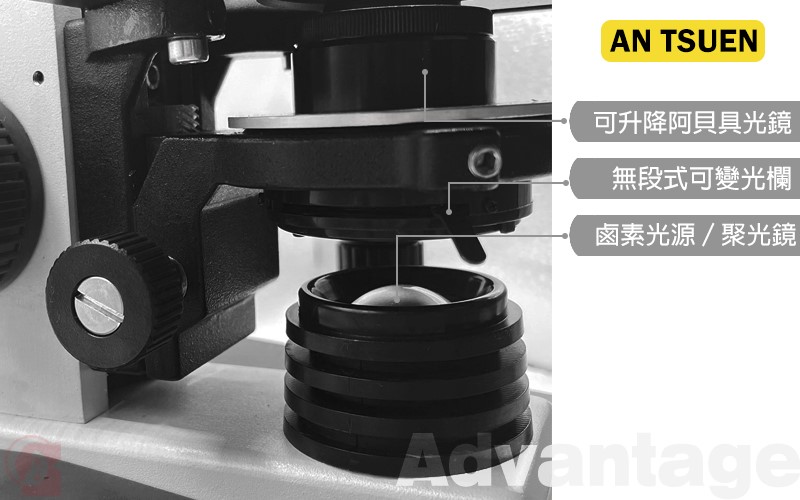 單眼V型生物顯微鏡,Monocular Microscope  with Vertical Camera Port,切片顯微鏡,單眼顯微鏡,攝影連接頭,分光管,1500X顯微鏡,可接電子目鏡,B1-164,國教儀器
