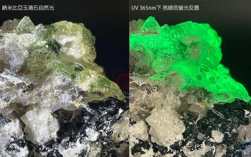 納米比亞玉滴石共生礦,Fluorescent Hyalite Opal  with Black Tourmaline,玻璃蛋白石,黑璧璽,茶晶,共生原礦,水晶,礦物,礦石,標本,螢光反應亮綠色,國教儀器