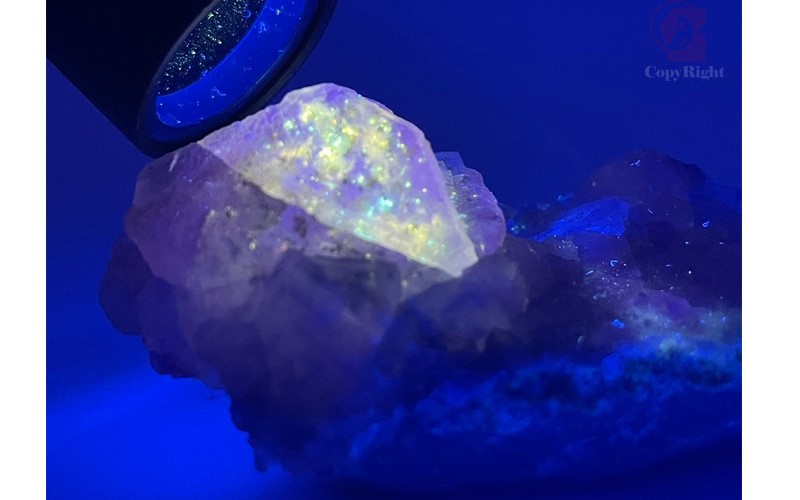新疆油膽螢石,Xinjiang Petroleum Fluorite,新疆螢石(油膽),礦物 礦石 標本,產地中國新疆,螢光效應螢石紫色,油膽物質黃白色螢光,國教儀器礦石礦物