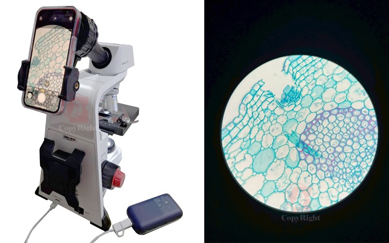 MOTIC Stellar1-M Microscope,單眼複式顯微鏡,切片顯微鏡,學生顯微鏡,40X-1000X,可使用行動電源供電顯微鏡,教學顯微鏡,實驗室規劃,實驗室翻新,科學實驗室設備供應商,科學教具品牌,實驗室耗材線上購買,科學儀器維修,生物實驗設備操作,化學實驗設備安全,物理實驗設備原理,全台灣學校科學實驗設備皆有服務