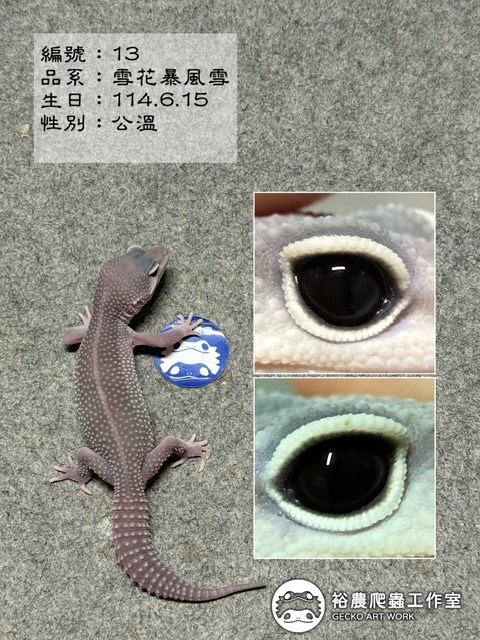 編號13