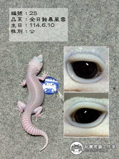 編號25
