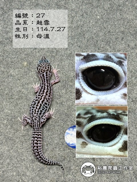 編號27