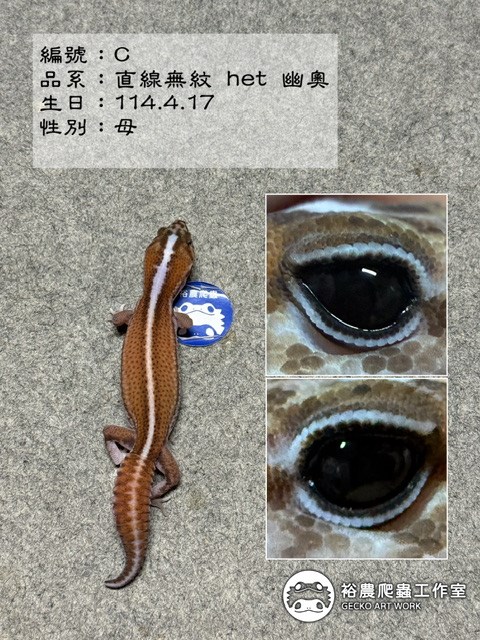 編號C