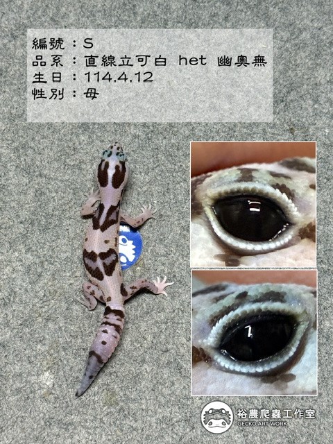編號S